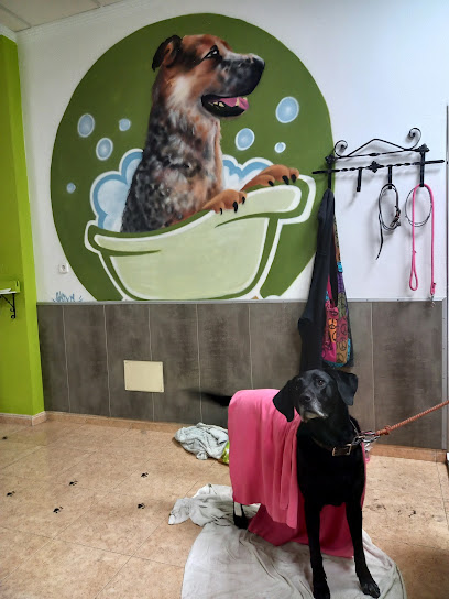 Foto Autolavado de mascotas ardo