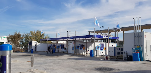 Foto Elefante Azul Zaragoza
