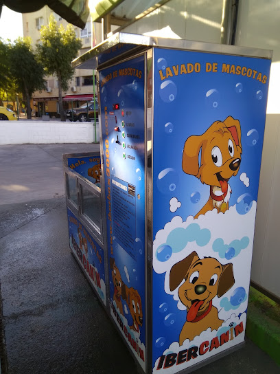 Foto Lavado A Mano