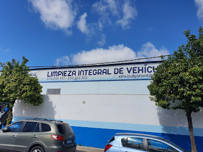 Foto LAVA CAR ELITE