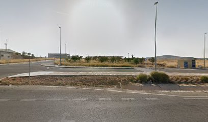 Foto Autocristal Vitransa Tintado Lunas